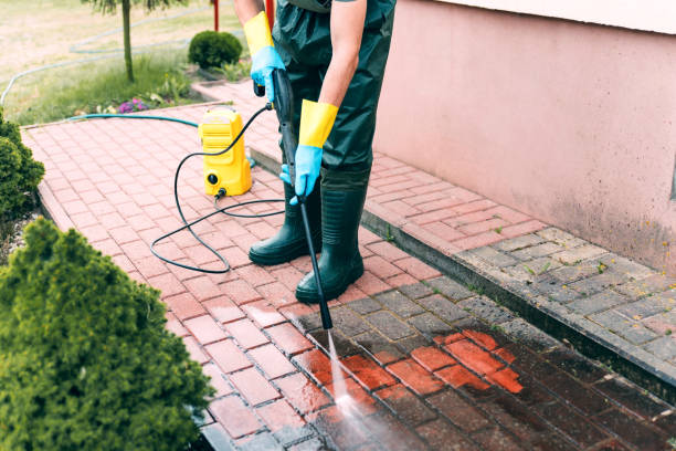 Best Animal Enclosure Cleaning  in Trenton, GA