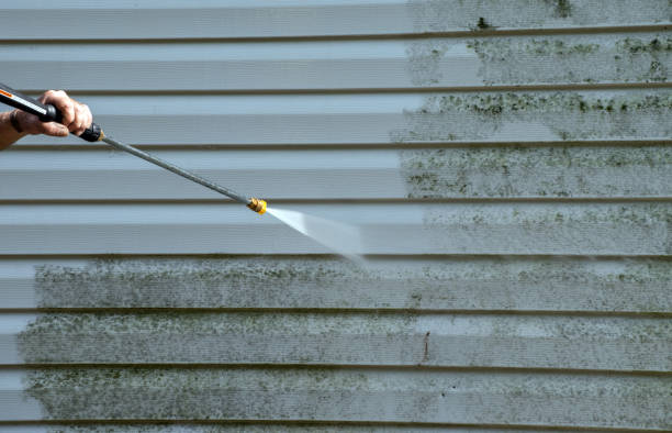 Trusted Trenton, GA Pressure Washing Services Experts